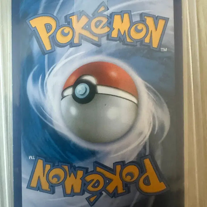 [BUNJANG] Pokemon Card Gyarados Full Art XY / 포켓몬카드 갸라도스 풀일러스트xy