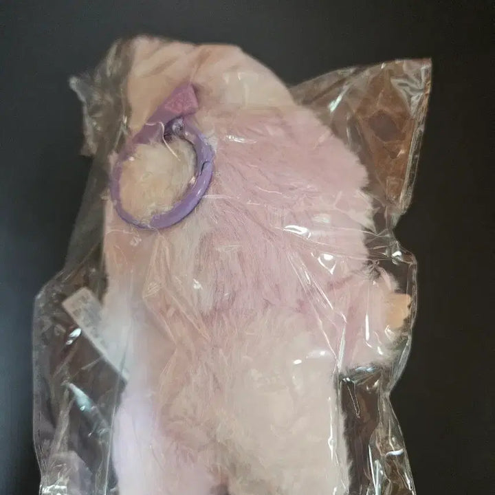 [BUNJANG] Labubu Keyring Doll / 라부부 키링 인형