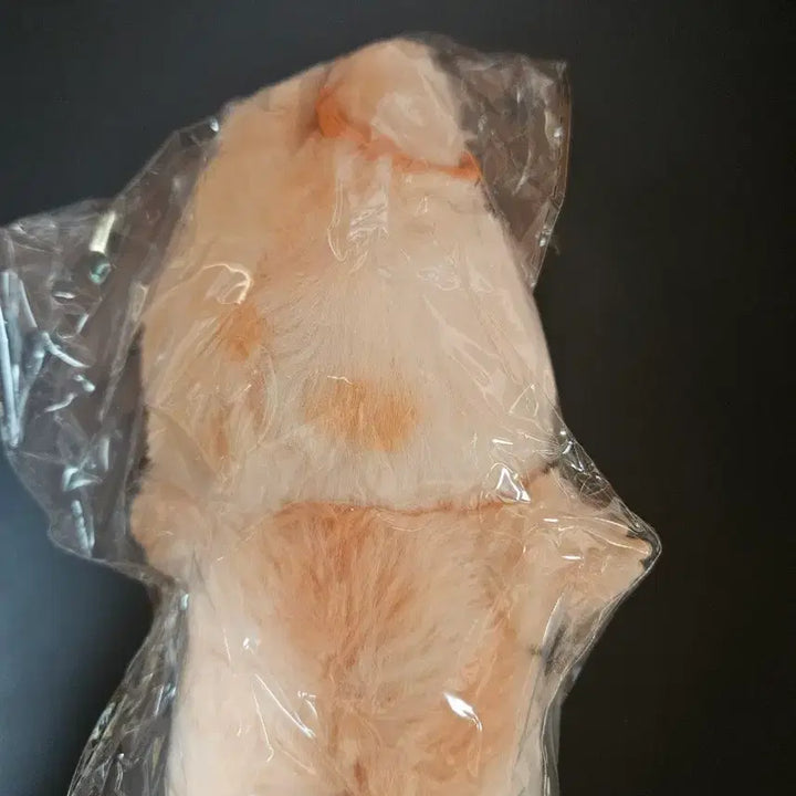[BUNJANG] Labubu Keyring Plush Doll / 정품)라부부 키링 인형