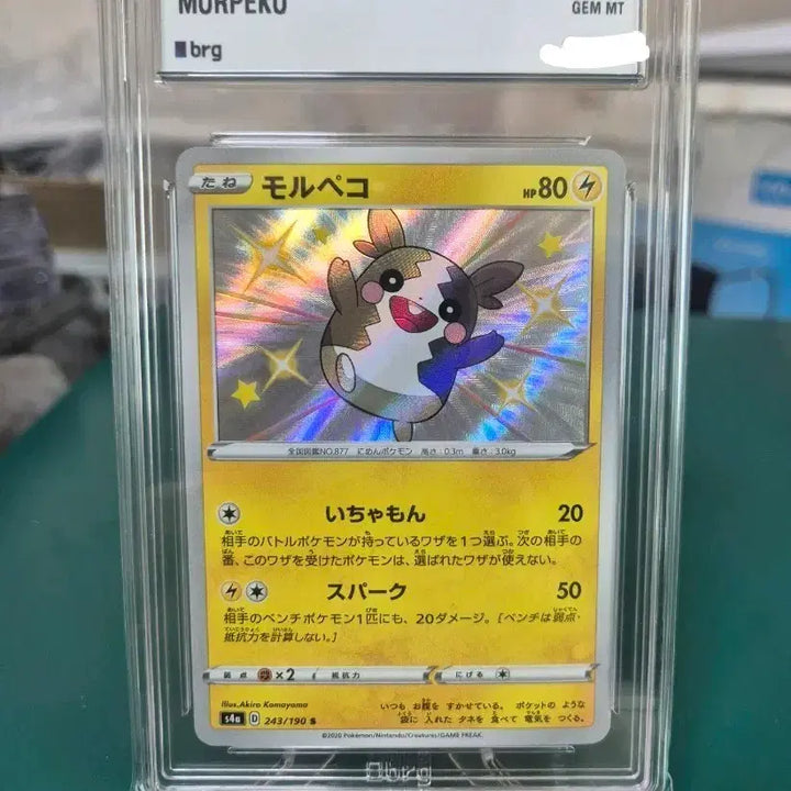 [BUNJANG] Morpheko Shiny Star V (S4a) Graded Card / 일판 모르페코 샤스 이로치 BRG10 포켓몬카드 등급카드 등카