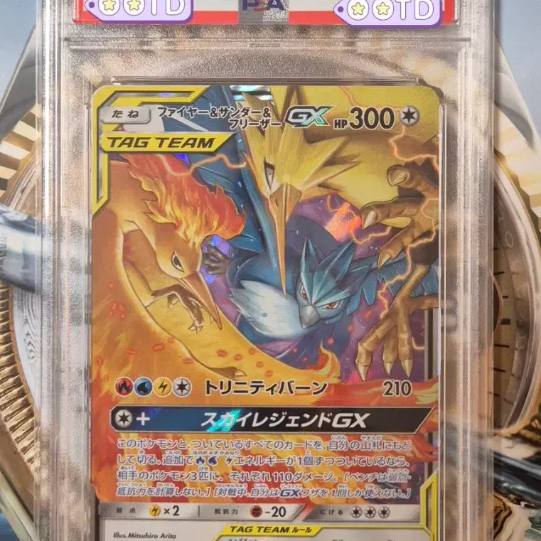 [BUNJANG] Pokemon Card Sky Legend 2019 Japanese Fire &amp; Thunder &amp; Freezy RR PSA 10 / 포켓몬카드 PSA10 등급카드 2019 일본판 파썬프 RR