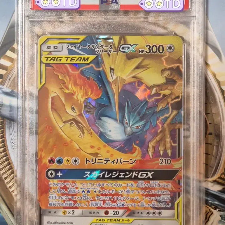 [BUNJANG] Pokemon Card Sky Legend 2019 Japanese Fire &amp; Thunder &amp; Freezy RR PSA 10 / 포켓몬카드 PSA10 등급카드 2019 일본판 파썬프 RR