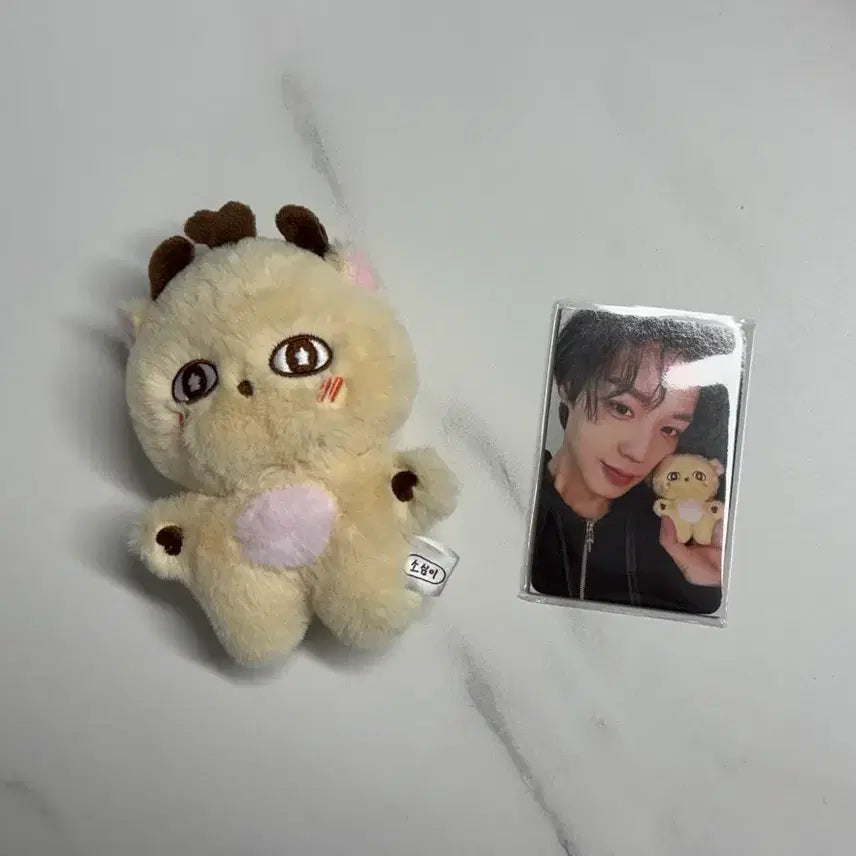 [BUNJANG] Park Ji Hoon Sosimi Doll / 박지훈 소심이 인형 (급처