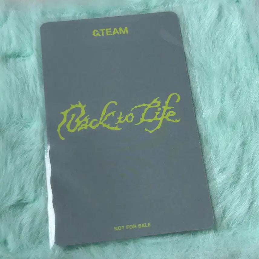 [BUNJANG] ENHYPEN Back to Life Weverse Japan Exclusive POB Photocard Jo / 앤팀 백투라 위버스재팬 죠 조 특전 포카 양도 미공포 야구부