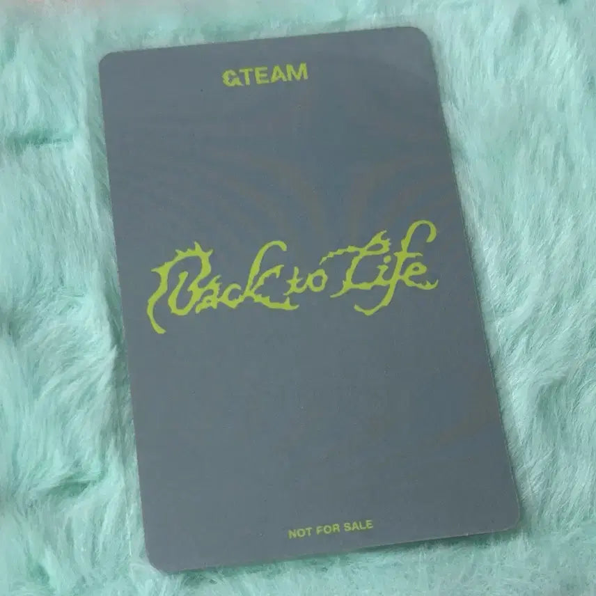 [BUNJANG] ENHYPEN Back to Life Weverse Japan Kei POB Photocard / 앤팀 백투라 위버스재팬 케이 특전 포카 양도 미공포 야구부