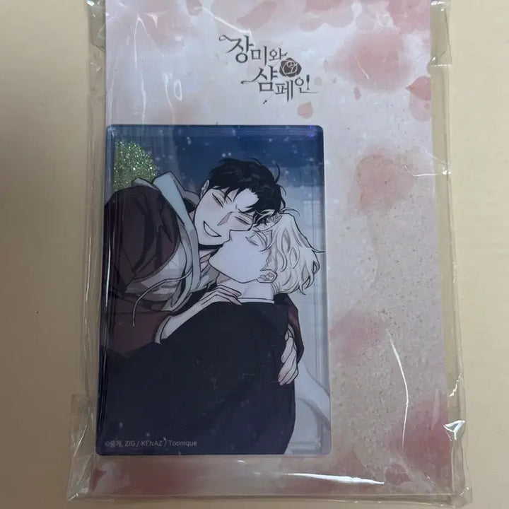 [BUNJANG] Jangmi &amp; Champagne Jaimishop Coolfor+ Toonique Water Glitter Photocard / 장미와샴페인 재이미샵 컬포+ 투니크 장샴 워터글리터