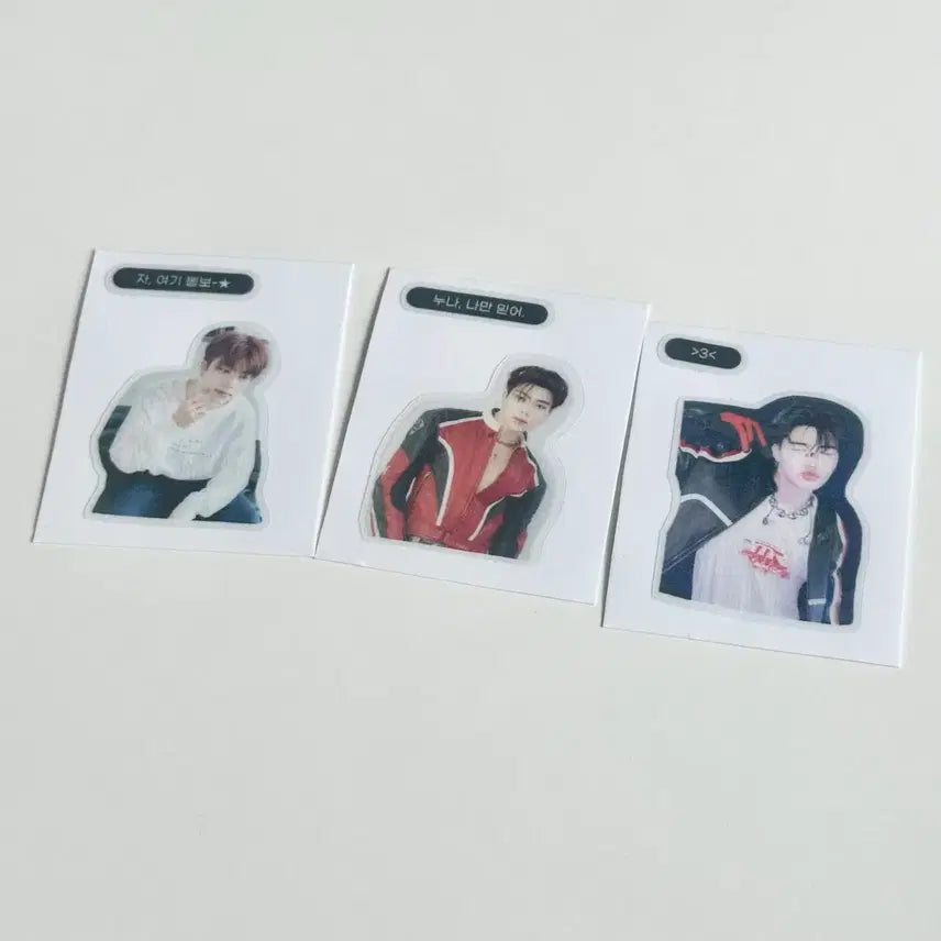 [BUNJANG] Park Gunwook Lucky Draw Sticker Photocard / 박건욱 띠부띠부씰 역조공 공방포카 사녹