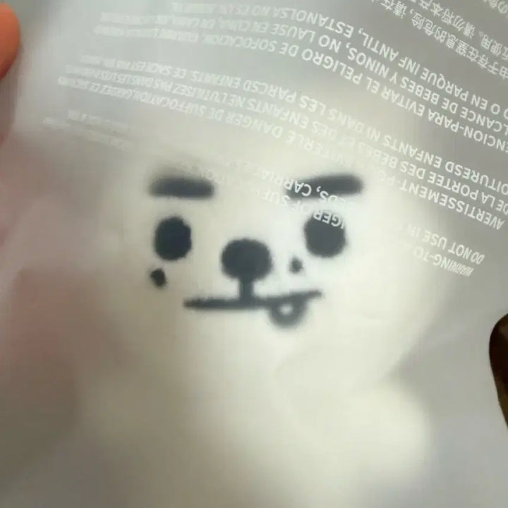 [BUNJANG] ENHYPEN Sunghoon Snowy Doll + Shaker Keyring Set / 미개봉 스노위 snowe 박성훈 인형+ 쉐이커 키링 원가 양도