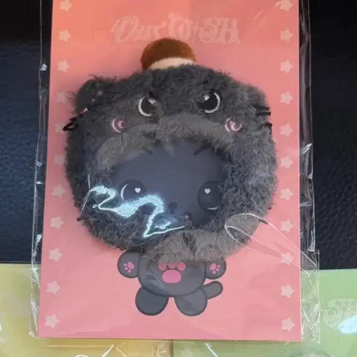 [BUNJANG] NCT WISH WISHDOLL Shiba Inu Bundle Set Photocard Holder / 엔시티 위시 NCT WISH 위시돌 모자 키링 미개봉 쿠리 양도