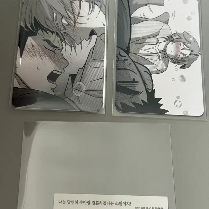 [BUNJANG] Neoneun Naui Sesang Rebom Bundle Set Photocard A B / 너는나의세상 레봄 특전 포카 a b 일괄