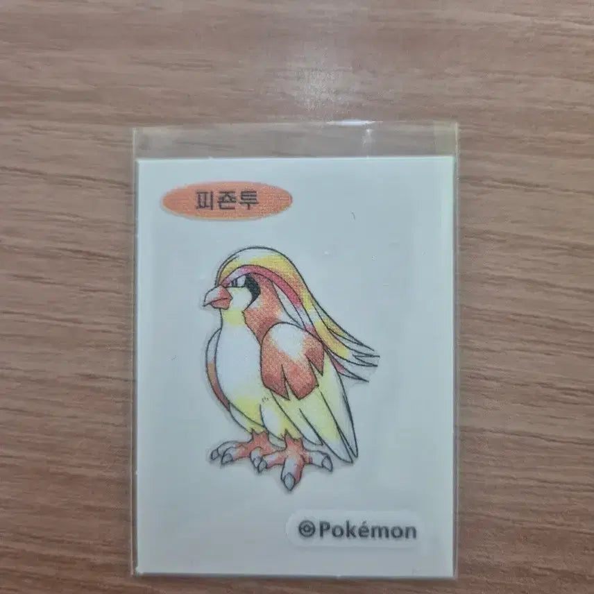 [BUNJANG] Pokemon 30th Anniversary Pidgeotto Sticker Art / 포켓몬 띠부씰 아트웍 30주년 피죤투