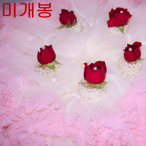 [BUNJANG] SPARKY 1st Album / Dressing Room (Sealed) / 스파키 (SPARKY) - 1집 / 탈의실 (미개봉, CD)