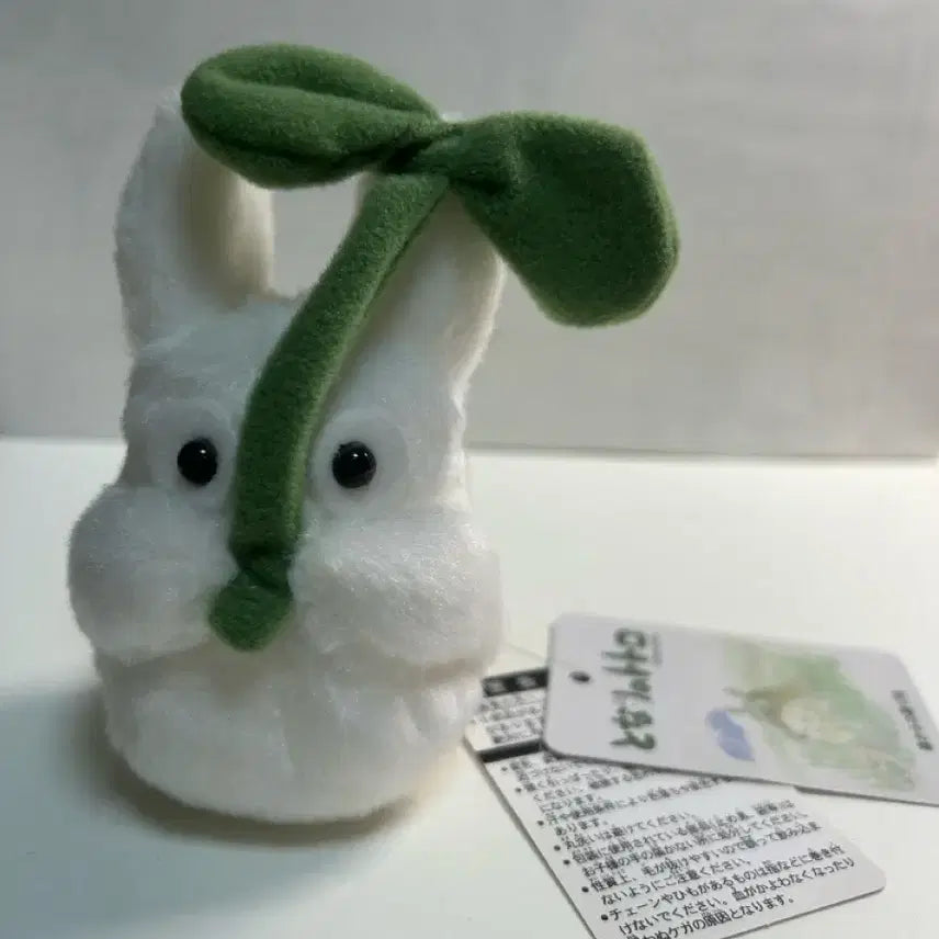 [BUNJANG] Studio Ghibli My Neighbor Totoro Plush / 지브리 소토토로 인형