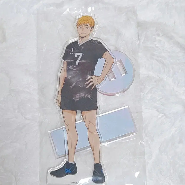 [BUNJANG] Haikyuu!! Miya Atsumu Acrylic Stand / 하이큐 미야 아츠무 아크릴스탠드