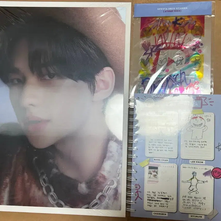 [BUNJANG] Stray Kids Hyunjin DICON D&