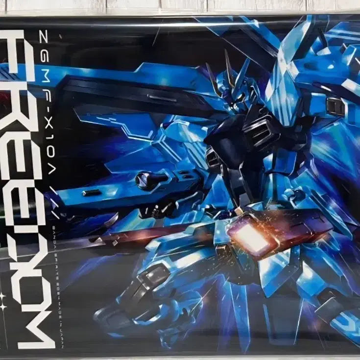 [BUNJANG] HG Gundam Seed Freedom Polarized Coating Limited Edition Model Kit / HG 건담 시드 프리덤 CD한정 폴라라이즈 코팅