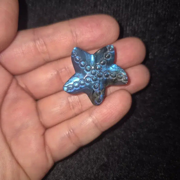 [BUNJANG] Labradorite Starfish Carving Gemstone (Top Optical Grade, Collectible/Craft Use) / 래브라도라이트 불가사리 카빙 원석 (광학 최상, 소장/공예용)