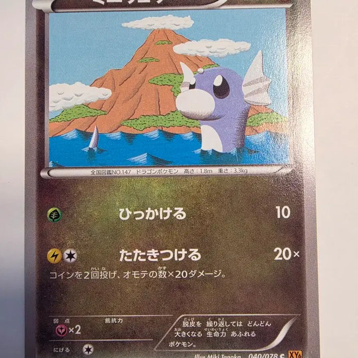 [BUNJANG] Vintage Pokemon Card - Dratini XY (2015, Japanese) / 빈티지)포켓몬카드 일판 미뇽 XY 2015