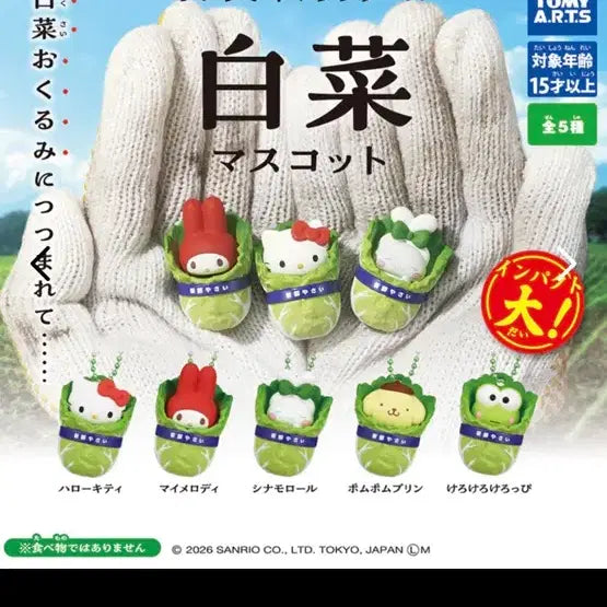 [BUNJANG] Sanrio Characters Cabbage Gacha Mascot Keropi / 산리오 캐릭터즈 배추 가챠 마스코트 케로피