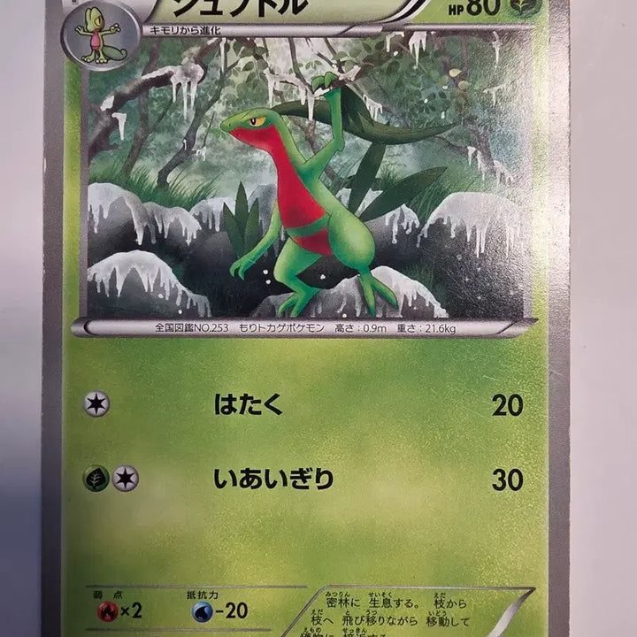 [BUNJANG] Vintage Japanese Pokemon Card Jutoful BW / 빈티지)포켓몬카드 일판 쥬토플BW