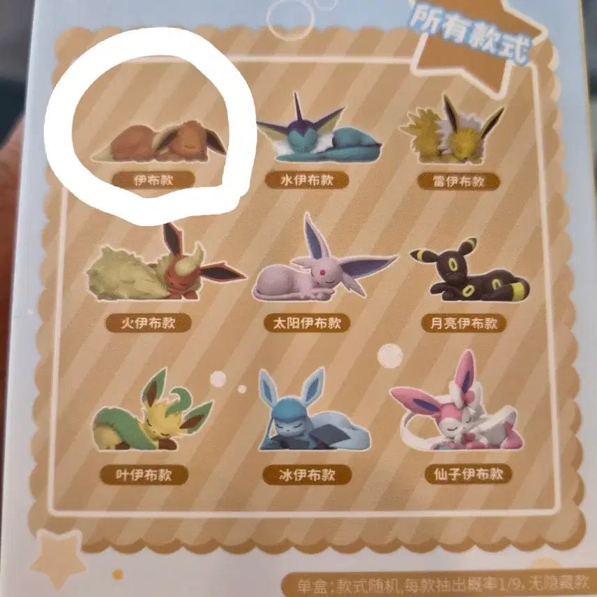 [BUNJANG] Pokemon Eevee&