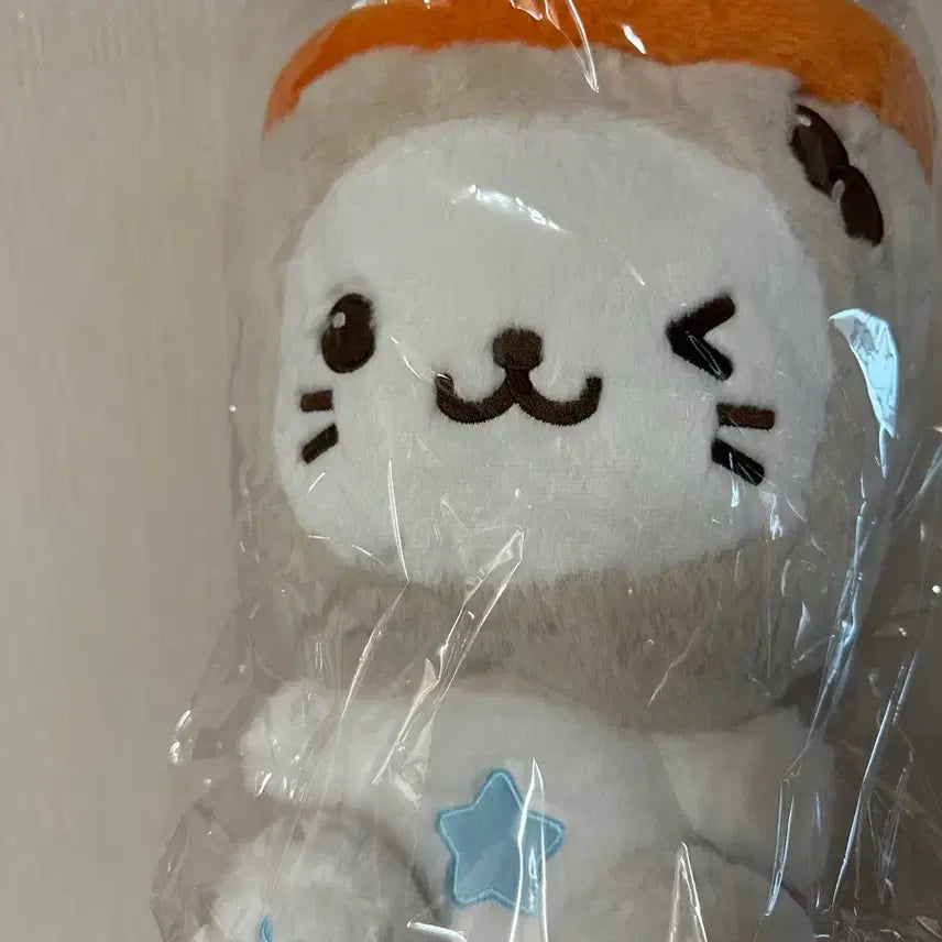 [BUNJANG] NCT WISH Unsealed 30cm Wish Doll YooShi / (무료배송)엔시티위시 미개봉 30cm 위시돌 버블냥 유우시