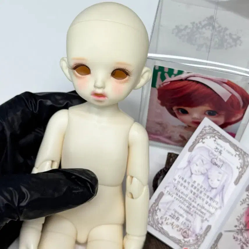 [BUNJANG] Napidoll Carol USD Ball-Jointed Doll Body / 구관 나피돌 캐롤 루츠 바디 usd 구체관절인형