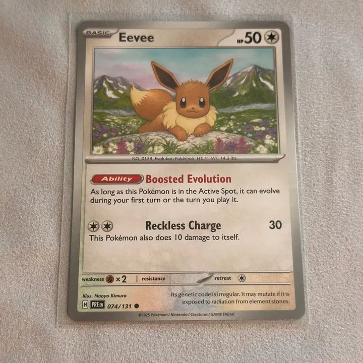 [BUNJANG] Evee Basic Set North American Version / 이브이 기본카드 북미판