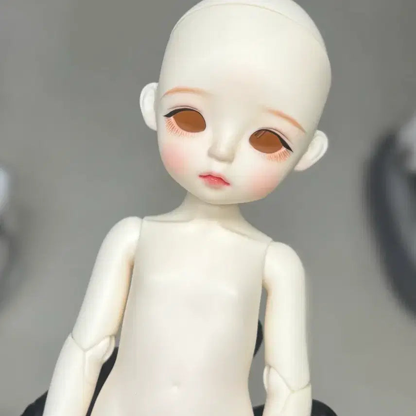 [BUNJANG] LinaLulu Snow Kitten Cream Ball-Jointed Doll USD / 구관 리나슈슈 스노우키튼 크림 구체관절인형 usd
