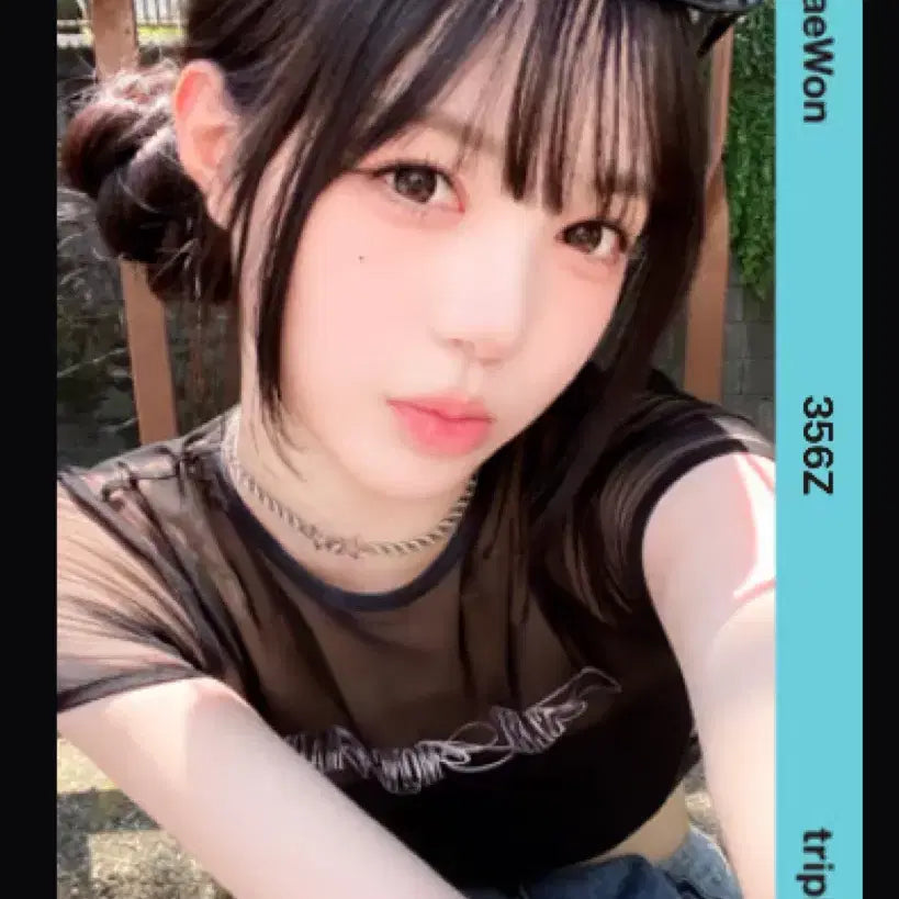[BUNJANG] Kim Chaewon TripleS Hachi Object Photocard / 트리플에스 김채원 하찌 오브젝트 양도