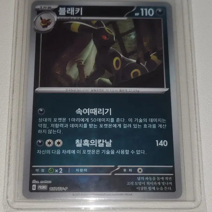 [BUNJANG] Pokemon Card Umbreon Promo / 포켓몬카드 블래키 프로모