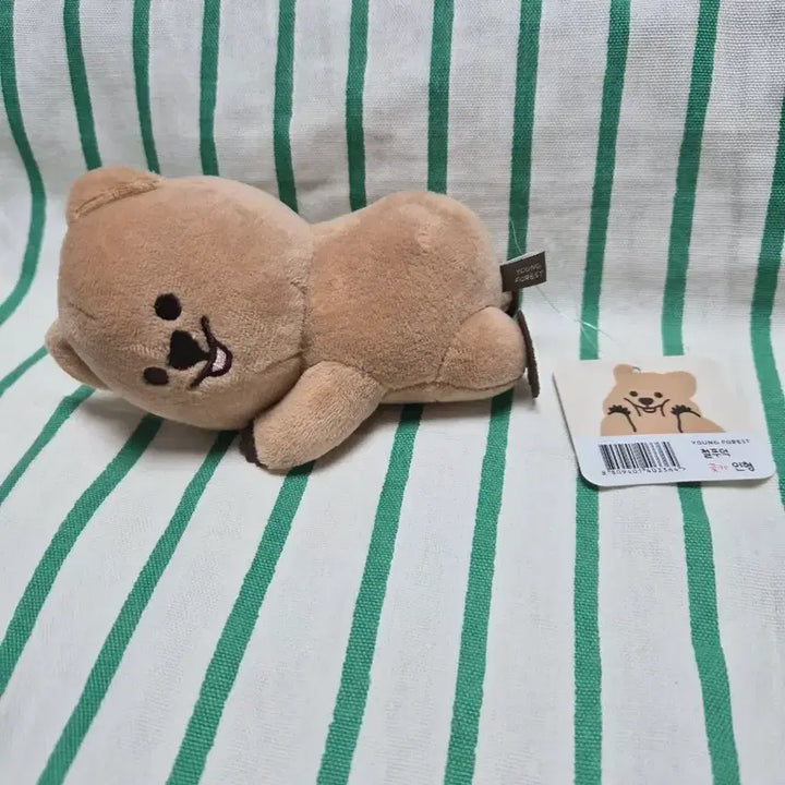 [BUNJANG] Yeonguisup Cheolpudeok Flower Quokka Plush / 영이의숲 철푸덕 꽃카 쿼카 인형