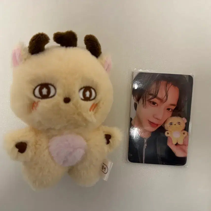 [SOLD OUT] 박지훈 인형 포토카드 세트