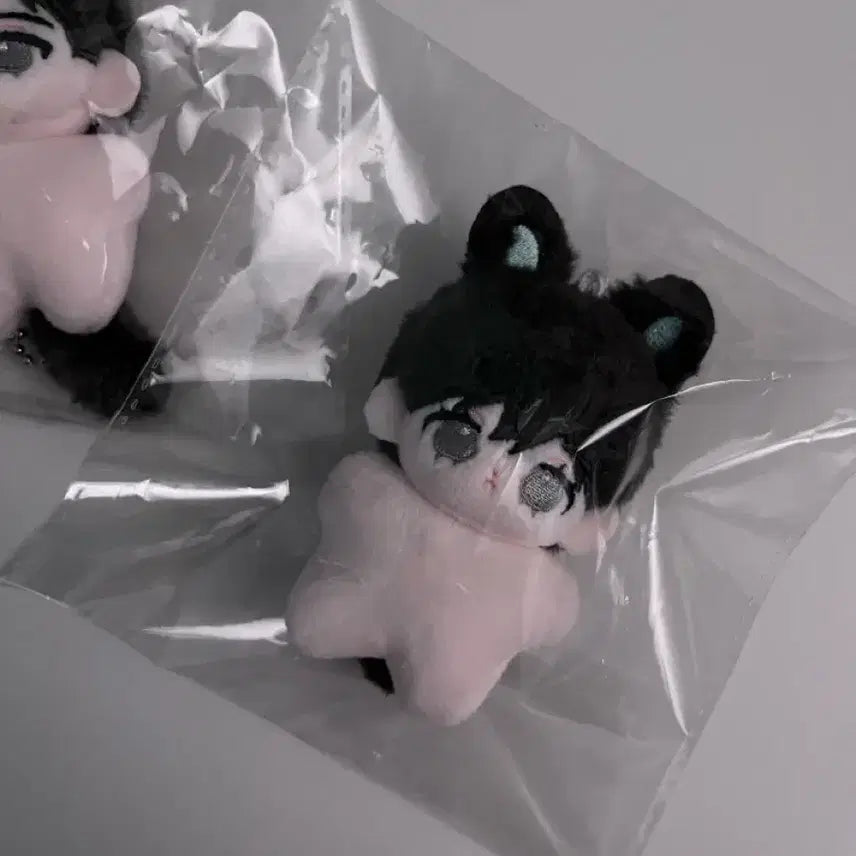 [BUNJANG] Happy Together Doip Seungjae 5cm Plush Doll / 해피투게더 두입승쟹 5cm 솜인형