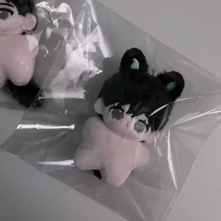 [BUNJANG] Happy Together Doip Seungjae 5cm Plush Doll / 해피투게더 두입승쟹 5cm 솜인형