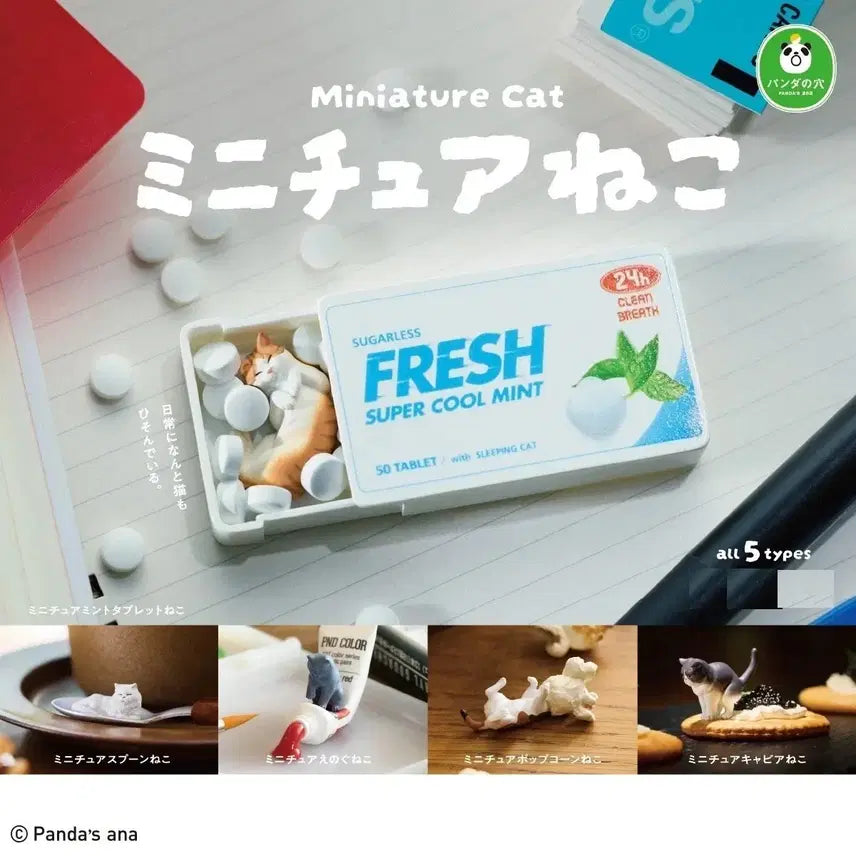 [BUNJANG] Takara Tomy Arts Miniature Cat Gachapon (Sealed) / Takara Tomy Arts 미니어처 고양이 가챠 (미개봉)