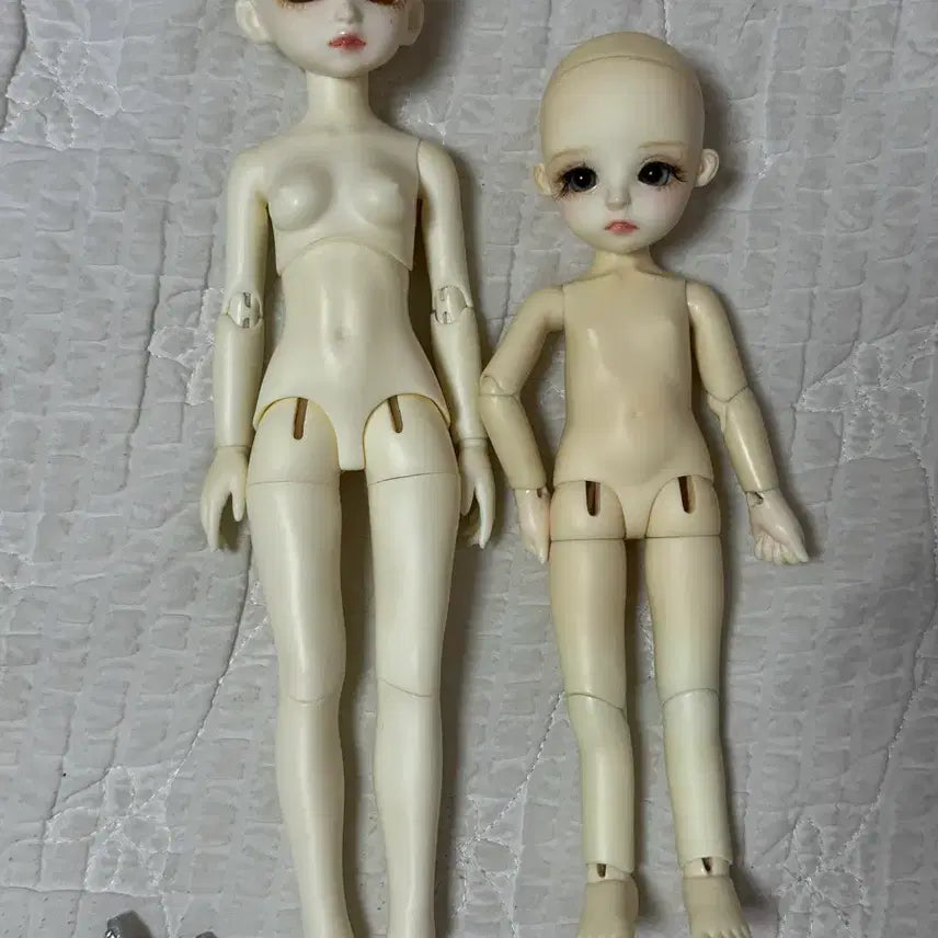 [BUNJANG] BJD Doll Bundle Set / 구체관절인형
