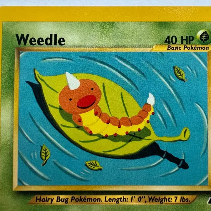 [BUNJANG] Pokemon 2000-1 Early Kakuna Beedrill Card - North American English Edition / 희소 포켓몬 포켓몬스터 2000-1 초기 딱충이 뿔충이 카드 북미 영문판