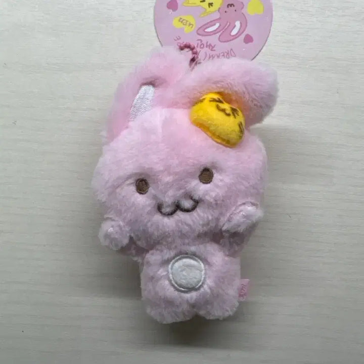 [BUNJANG] NCT DREAM Jaemin Plush Doll / 핑끼 재민 인형 양도 엔시티드림 인형 (안팔리면 내려요 )