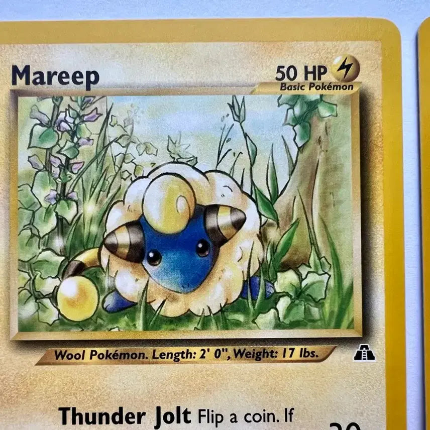 [BUNJANG] Pokemon Mareep Flaaffy Card - Early 2000s English North American Edition / 포켓몬 포켓몬스터 2000년, 2001년 초기 메리프  보송송 북미 영문판 카드