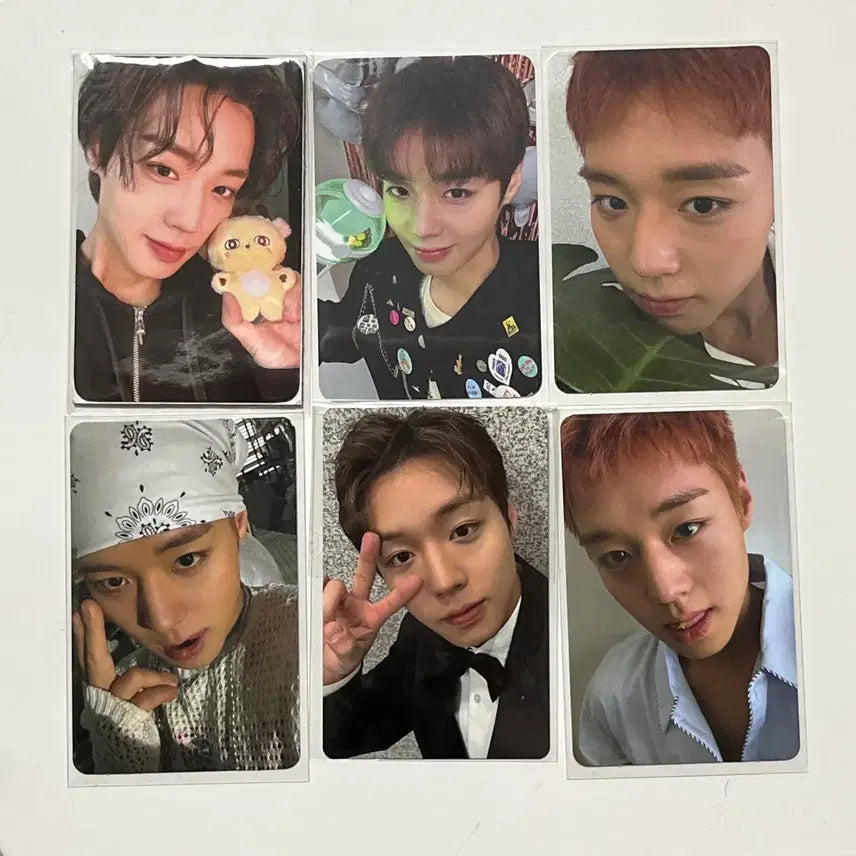 [BUNJANG] Park Ji Hoon Bundle Set Photocard / 박지훈 포카 뽑봉 소심이 리플렉트 콘서트