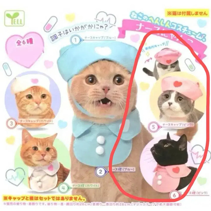 [BUNJANG] Cat Nurse Gacha Pink Set Transformation Costume / 고양이 간호사 가챠 핑크 세트 변신 코스튬