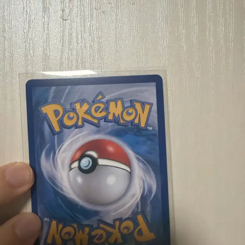 [BUNJANG] Pokemon Card Mega Absol SAR / 포켓몬카드 메가플라엣테 sar