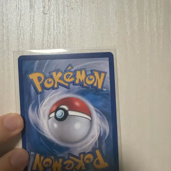 [BUNJANG] Pokemon Card Mega Absol SAR / 포켓몬카드 메가플라엣테 sar