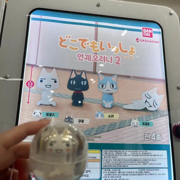 [BUNJANG] Dokodemo Issyo Makishiboke Toro A Gacha / 도코데모잇쇼 마치보케 토로A 가챠 미개봉