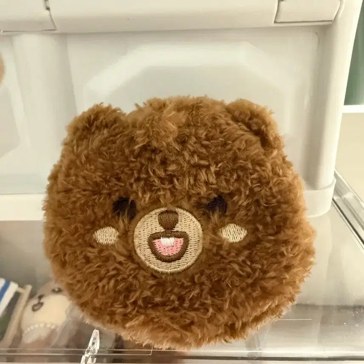 [BUNJANG] Day6 Sungjin Earphone Pouch / 데이식스_성진(방_이어폰파우치)