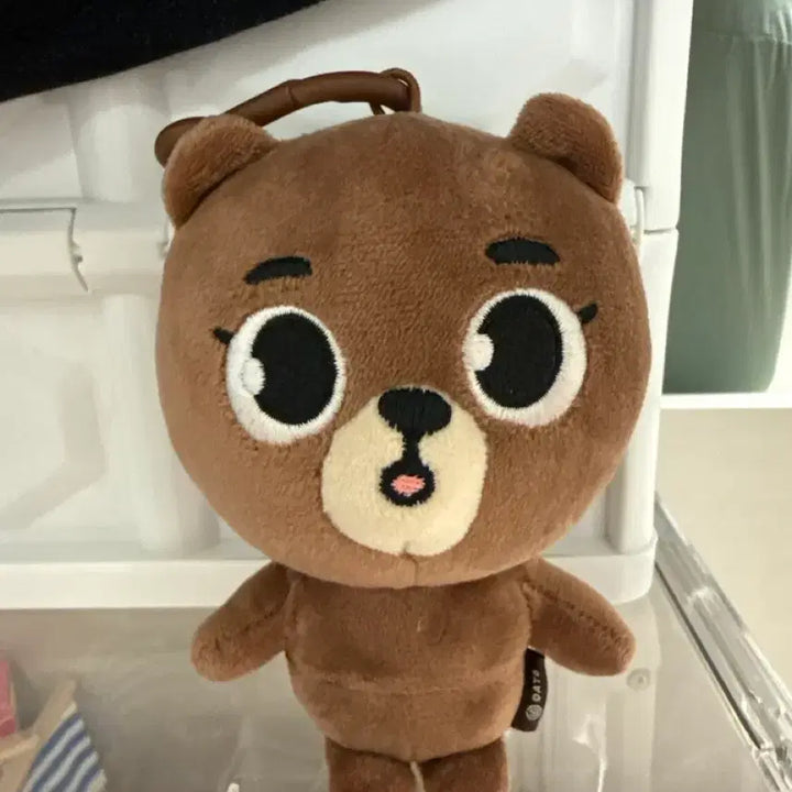 [BUNJANG] Day6 Sungjin Earphone Pouch / 데이식스_성진(방_이어폰파우치)