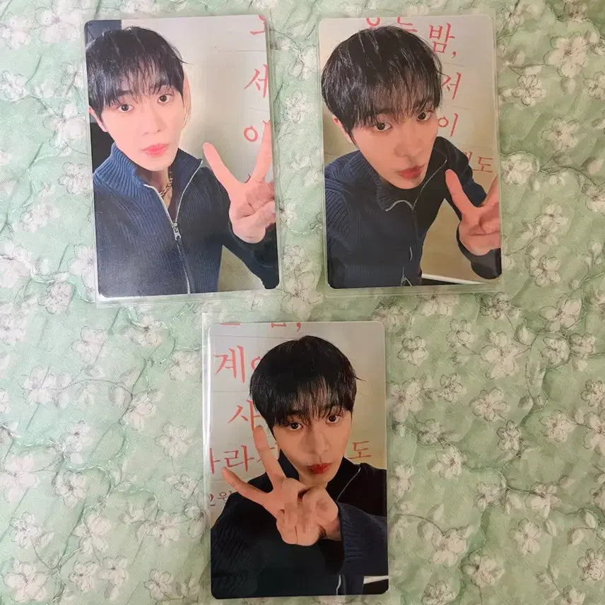 [BUNJANG] Chowoo Young Photocard Set / 추영우 포토카드