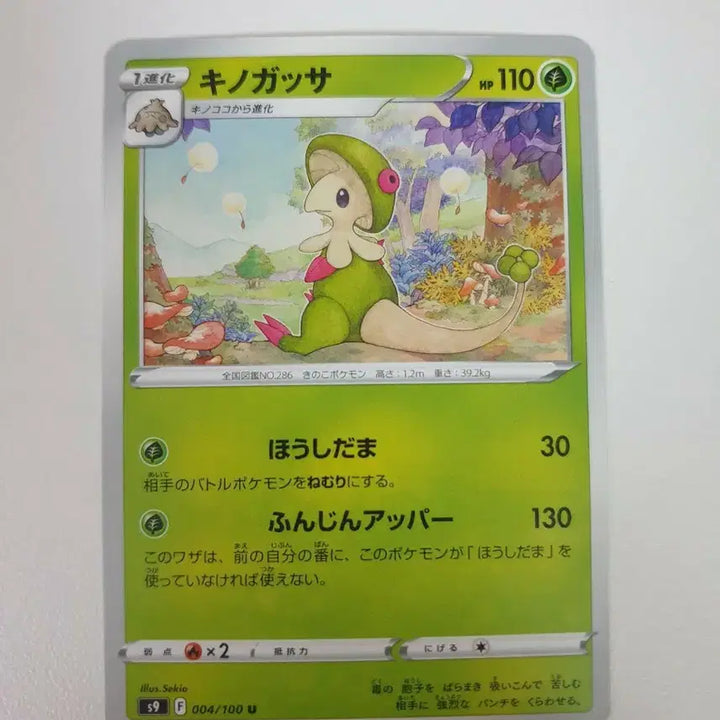 [BUNJANG] Japanese Starly Fungi Pokémon Card / 일판/버섯모 포켓몬카드