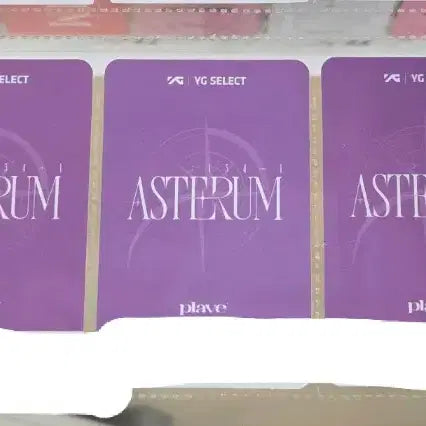 [BUNJANG] PLAVE Asterum YG Select POB Photocard Way4love / 플레이브 W4L 아스테룸 134-1 YG셀렉트 포카 미공포 웨이포럽 웨이포러브 미공개 포토카드
